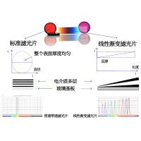 線性漸變?yōu)V光片是什么？有何特點(diǎn)？